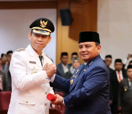 Kadis DLH Sultra Andi Makkawaru Dilantik Jadi Pj Bupati Kolaka
