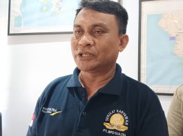 Begini Penjelasan BKSDA Sultra Soal Buaya yang Ditangkap Warga di Desa Biru