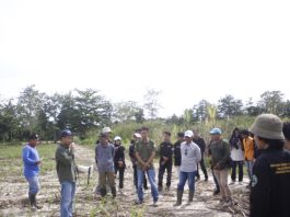 Jurusan Ilmu Tanah UHO Kendari Gelar Pengabdian Kepada Masyarakat Guna Kelola Lahan Tebu Berkelanjutan