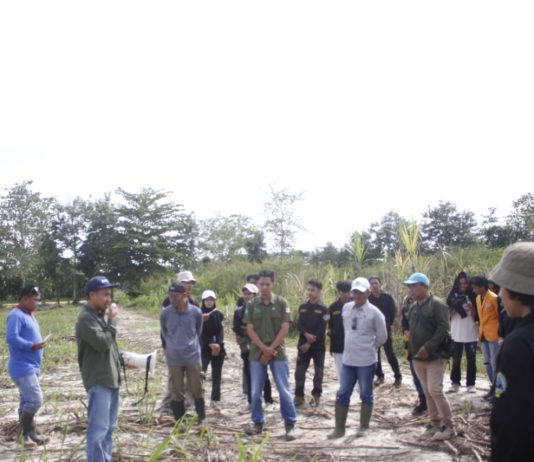 Jurusan Ilmu Tanah UHO Kendari Gelar Pengabdian Kepada Masyarakat Guna Kelola Lahan Tebu Berkelanjutan