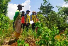BWS Bakal Normalisasi Sungai Penyebab Banjir di Desa Tumbudadio dan Lara