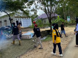 Antisipasi Penyebaran Kasus DBD, Dinkes Koltim Masifkan 3M