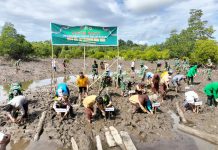 HUT Kodam XIV/Hasanuddin Ke-67, Kodim 1416 Muna Gelar Karya Bakti Penanaman Pohon Mangrove