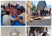 Hari Raya Idul Adha 1445 H, Pengurus Mesjid Al Abror Raha Sembelih Hewan Qurban