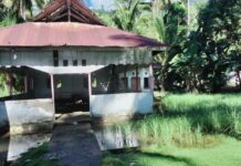 Dugaan Penyalahgunaan Dana Desa, Kades Malaringgi Konsel Harus Segera di Periksa