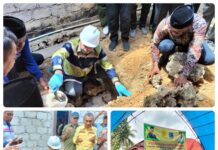 Plt Bupati Muna Letakan Batu Pertama Pembangunan Rumah Produksi Olahan Nenas