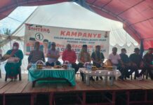 Ikut Kampanyekan Bachrun-Asrafil, Taufan Alam: Pilih Pemimpin yang Baik dan Punya Kepedulian Terhadap Masyarakat