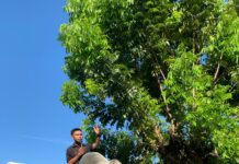 Aksi Demonstrasi, Sejumlah Mahasiswa Desak Kemenkumham Sultra Copot Jabatan Kepala Lapas Perempuan Kelas III Kendari