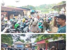 H-8 Lebaran Idul Fitri 2025, Pelabuhan Feri Torobulu Mulai Dipadati Pemudik Roda Dua