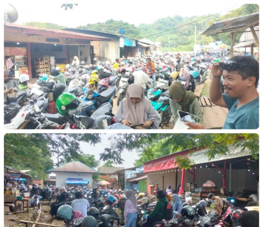 H-8 Lebaran Idul Fitri 2025, Pelabuhan Feri Torobulu Mulai Dipadati Pemudik Roda Dua