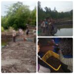 Potensi Perikanan Desa Lanobake, Masyarakat Antusias Ikuti Panen Perdana Udang Vaname